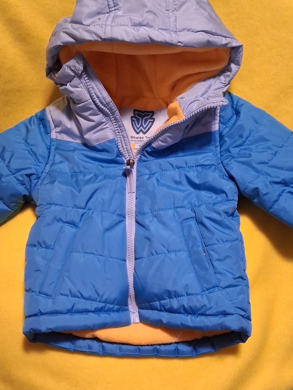 Blue Hooded Puffer Jacket for Kids